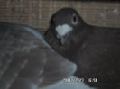 SAM_0705