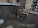SAM_0710