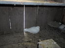 SAM_0711