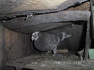 SAM_0712