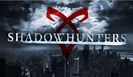 Shadowhunters (17)
