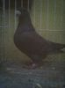Photo0416