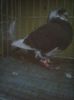 Photo0417