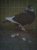 Photo0418