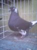 Photo0410