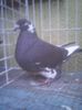 Photo0411