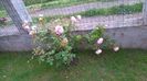 Abraham Darby