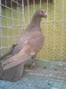 Photo0423