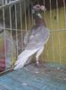 Photo0425