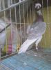 Photo0427