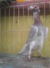 Photo0428