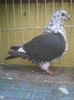 Photo0432