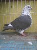 Photo0433