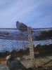 Photo0483