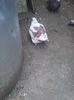 Photo0509