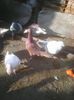 Photo0499