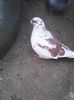Photo0510