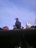 Photo0513