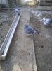 Photo0524