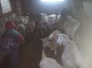 CAM00263