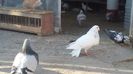 20170101_144801(0)