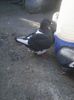 Photo0542