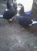 Photo0543