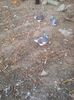 Photo0545