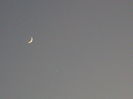 Conjunctie Luna-Venus in Pesti