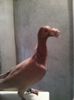 Photo0255