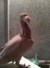 Photo0257