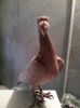 Photo0258