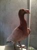 Photo0259