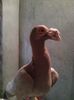Photo0260