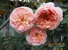 Abraham Darby