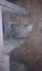 received_1046302065516297
