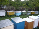 P1050890