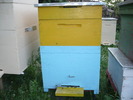 P1050893