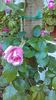 IMAG0058
