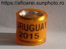 URUGUAY 2015