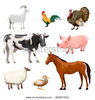 stock-vector-farm-animals-decorative-icons-set-with-cow-goose-pig-horse-isolated-vector-illustration