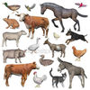 depositphotos_68291379-stock-photo-set-of-farm-animals-3d