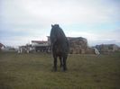 CIMG8935