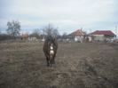 CIMG8938