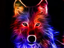 Wolf-Art-darkcruz360-34501147-2048-1536