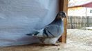 IMG-20161114-WA0000