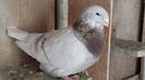 20170108_130447(0)