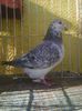Photo0599