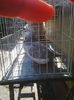 Photo0600