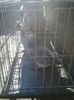 Photo0602